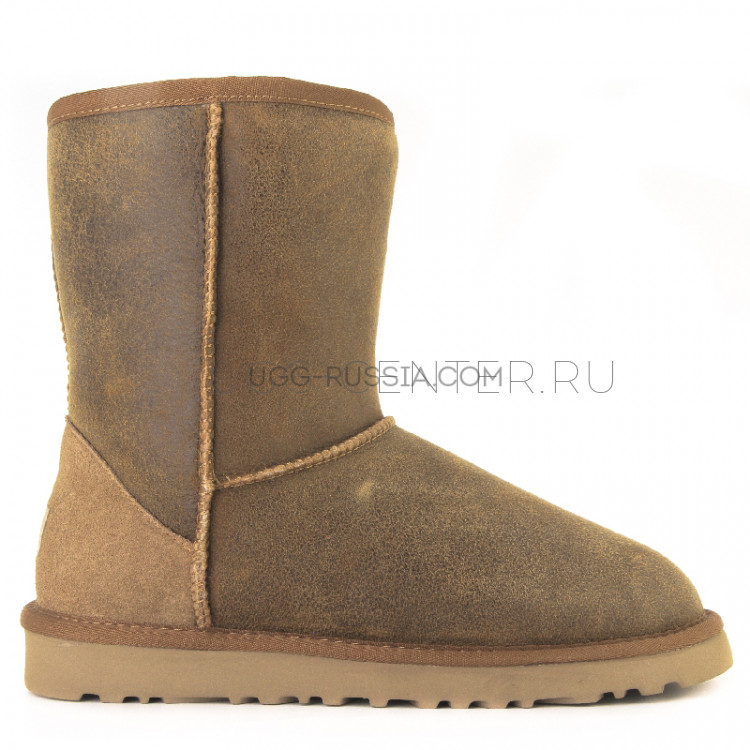 UGG Classic Short Bomber Сhеstnut