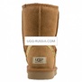 UGG Classic Short Rainbow Chestnut