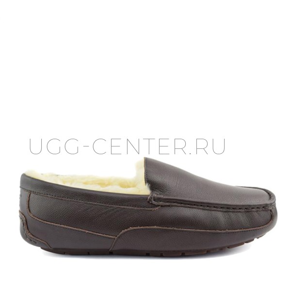 MENS Ascot Metallic Chocolate