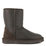 UGG MENS Classic Short Metallic Chocolate