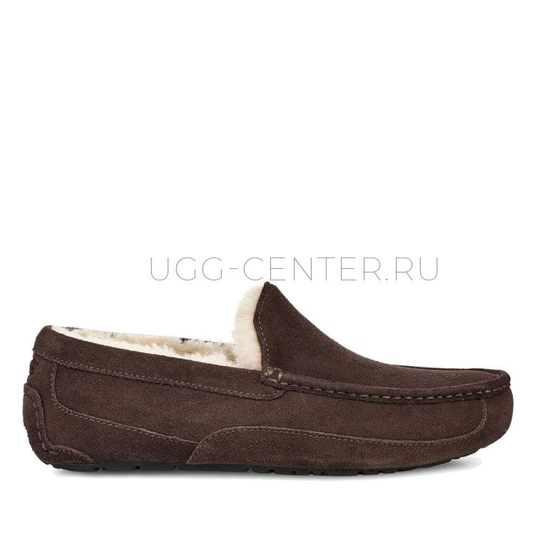 UGG MENS Ascot Chocolate