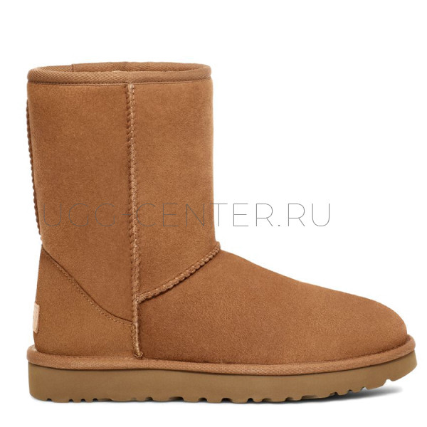 Men's Classic Short Сhestnut